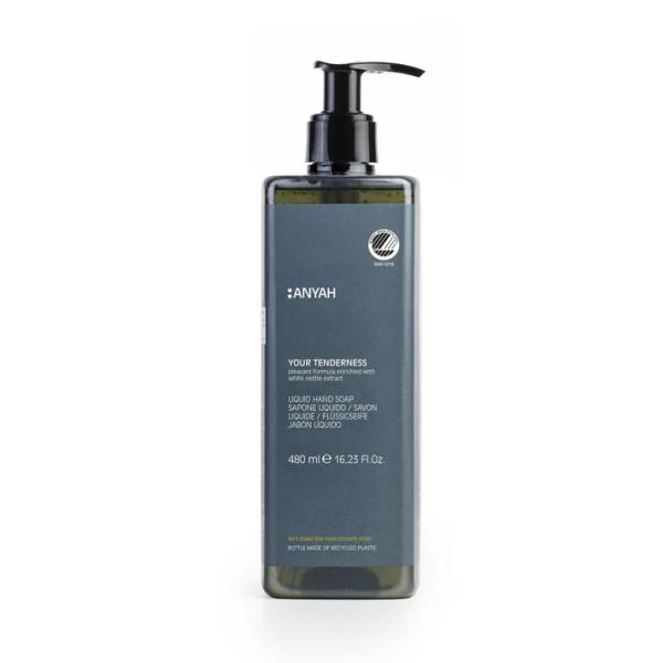 Anyah-Liquid-Soap-480ml---P500RLM2AY